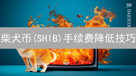 柴犬币(SHIB)手续费降低技巧：省钱攻略分享
