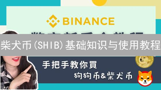 柴犬币(SHIB)基础知识与使用教程：生态系统详解与未来展望