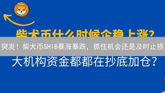 突发！柴犬币SHIB暴涨暴跌，抓住机会还是及时止损？