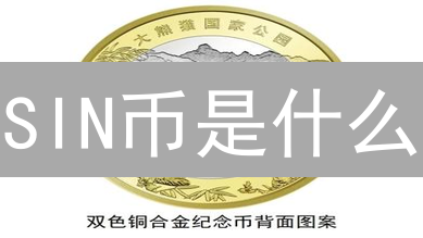 SIN币是什么？起源、技术特性与应用场景深度解析