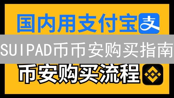 SUIPAD币币安购买指南：新手也能轻松上手？