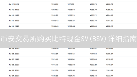 币安交易所购买比特现金SV(BSV)详细指南