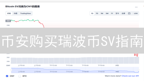 币安购买瑞波币SV指南：步骤详解与风险提示