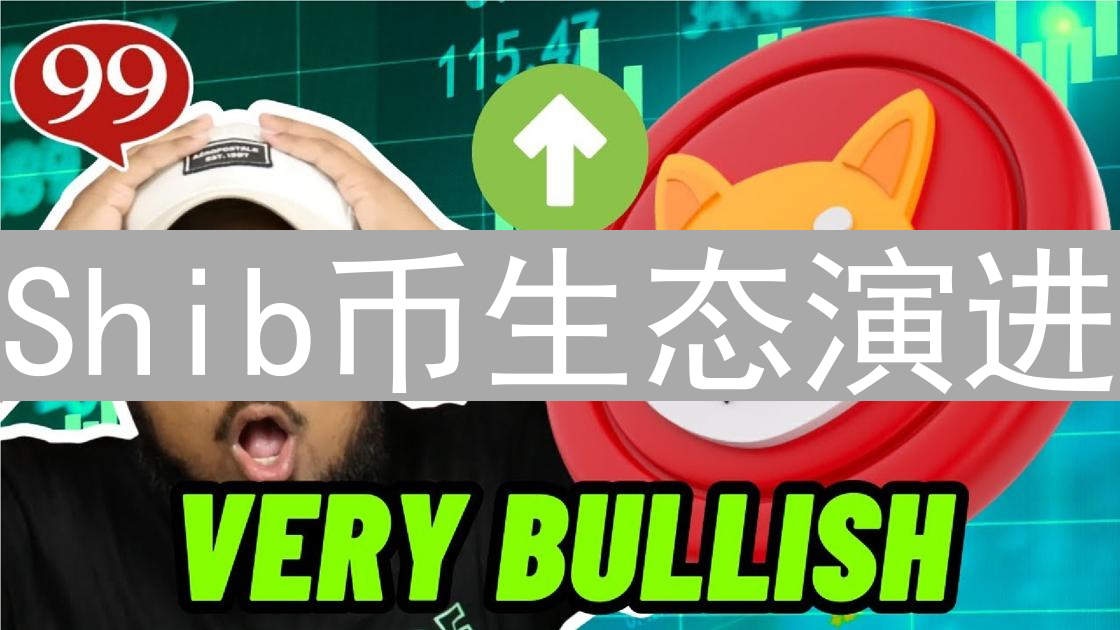 Shib币生态演进：从Meme文化到元宇宙的探索