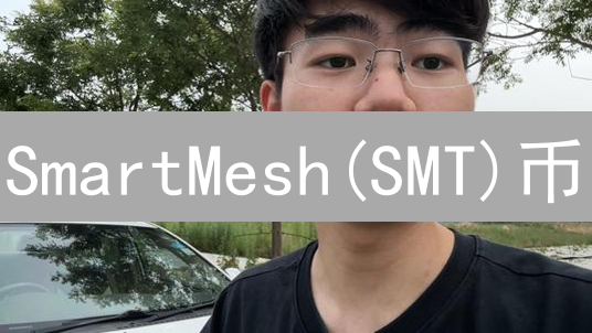 SmartMesh(SMT)币：去中心化Mesh网络的创新燃料与未来展望