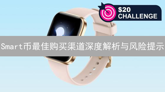 Smart币最佳购买渠道深度解析与风险提示