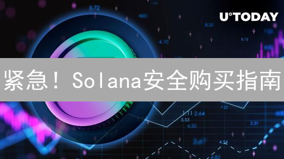 紧急！Solana安全购买指南：新手必看防坑秘籍！