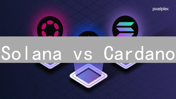 Solana vs Cardano：下一代区块链之争，谁能笑到最后？