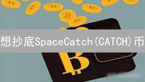想抄底SpaceCatch(CATCH)币？币安购买全攻略来了！