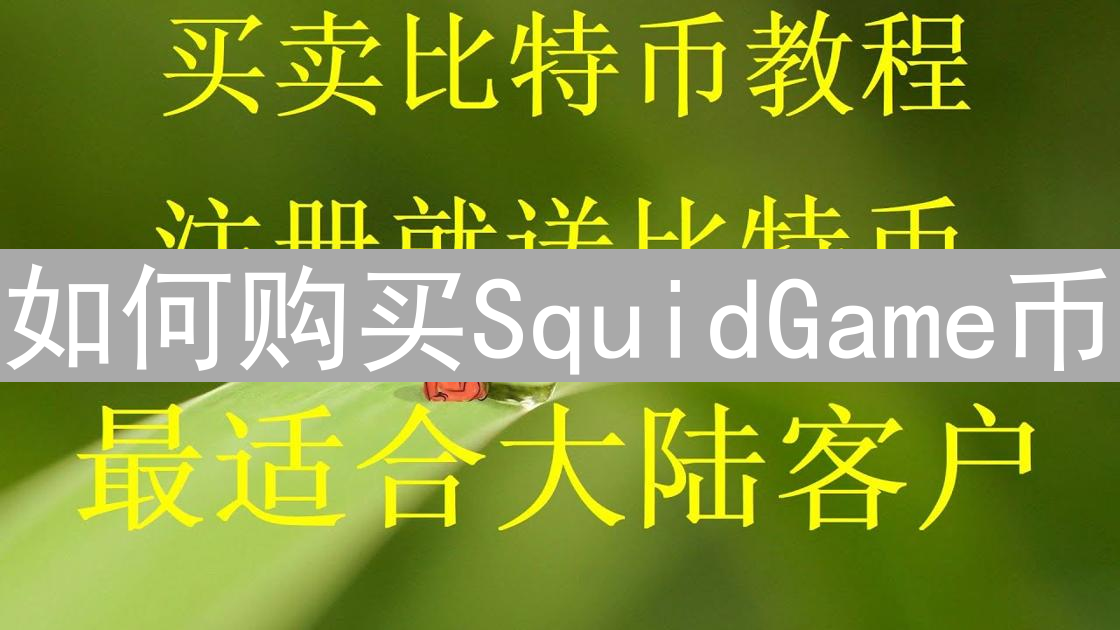 如何购买SquidGame币：步骤与注意事项