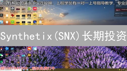 Synthetix(SNX)长期投资：可行性分析与市场潜力