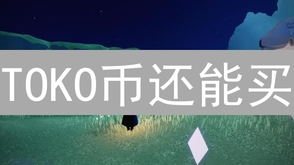 TOKO币还能买？2024年购买Tokoin币终极指南！