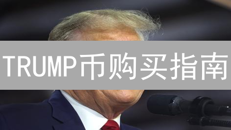 TRUMP币购买指南：机遇、风险与交易所选择全解析