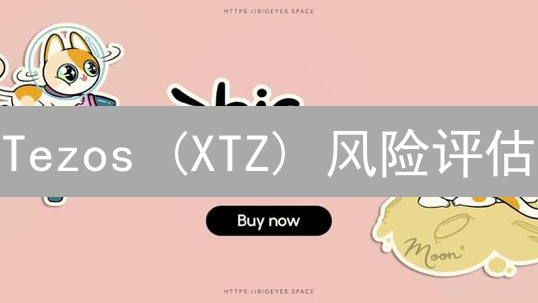 Tezos (XTZ) 风险评估：加密货币市场投资分析