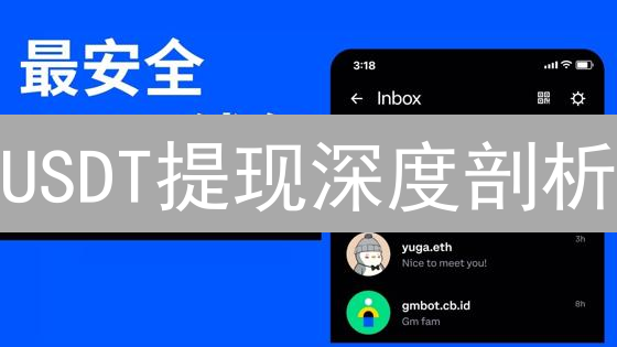 USDT提现深度剖析：风险与应对，寒冬下的资金安全指南