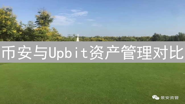 币安与Upbit资产管理对比：优缺点深度解析与投资策略