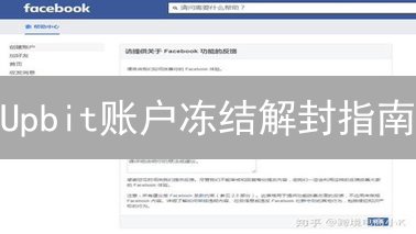Upbit账户冻结解封指南：助您重返加密货币交易战场