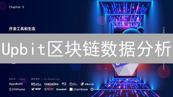 Upbit区块链数据分析：洞察市场动态与风险评估