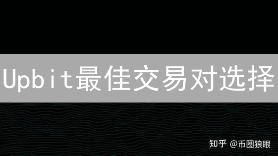 Upbit最佳交易对选择：策略与风险分析指南