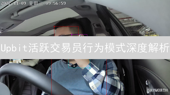 Upbit活跃交易员行为模式深度解析：交易偏好与风险承受