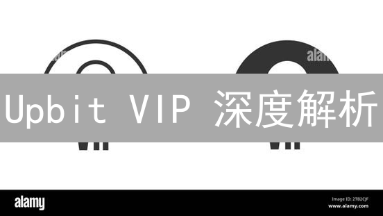 Upbit VIP 深度解析：如何玩转特权，解锁交易盈利？