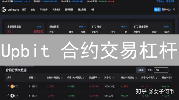 Upbit 合约交易杠杆：新手也能轻松驾驭？