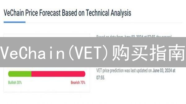 VeChain(VET)购买指南：交易所选择与操作步骤详解
