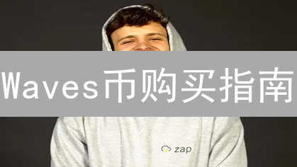 Waves币购买指南：如何在MEXC上轻松投资？【新手必看】