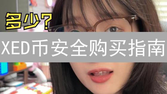 XED币安全购买指南：平台选择与风险评估