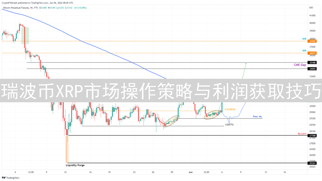 瑞波币XRP市场操作策略与利润获取技巧