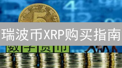 瑞波币XRP购买指南：新手入门教程详解