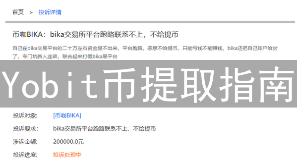 Yobit币提取指南：新手用户必读
