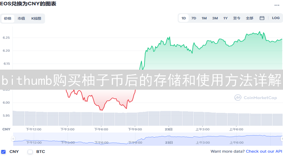 bithumb购买柚子币后的存储和使用方法详解