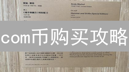com币购买攻略：掌握BRC20新机遇？新手必看！