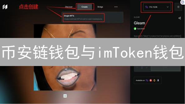 币安链钱包与imToken钱包：区别分析与选择指南