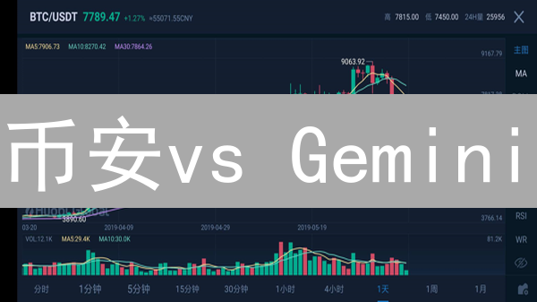币安vs Gemini：链上数据分析，谁更胜一筹？【深度解析】