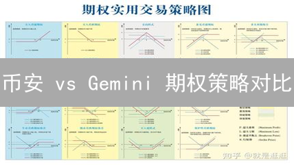 币安 vs Gemini 期权策略对比：现在入场还来得及？
